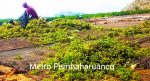 IMG_20210807_222311